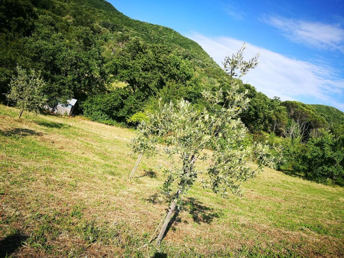 La Casetta Di Ross Apartamento