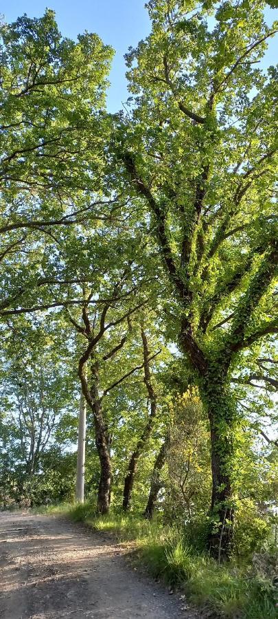 La Casetta Di Ross Apartamento